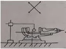 tstp2kho100_4.jpg